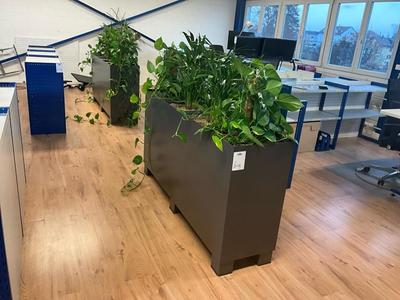 Overview picture of Planter (2x)